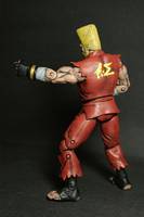 Paul Phoenix (Tekken) Custom Action Figure
