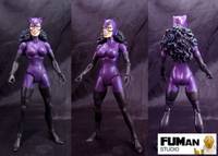 DC Catwoman (DC Universe) Custom Action Figure