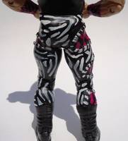 Rockstar Robbie Gilmore (Pink Zebra) (Wrestling) Custom Action Figure