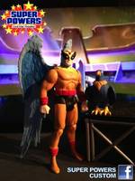Birdman (Super Powers) Custom Action Figure