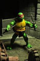 Raphael (Teenage Mutant Ninja Turtles) Custom Action Figure