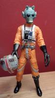 Andoorni Hui Rogue Squadron (Star Wars) Custom Action Figure