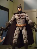 Batman Marvel Universe (Marvel Universe) Custom Action Figure
