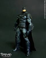 Batman (DC Universe) Custom Action Figure