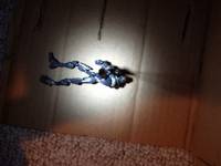 Prototype Assasin Droid (Star Wars Clone Wars) Custom Action Figure