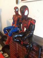 Ultimate Comics Spider-Man (Ultimate Marvel) Custom Action Figure