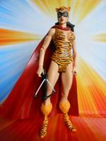 Tigress (Paula Brooks) (DC Universe) Custom Action Figure
