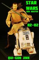 Star Wars QUI-GON JINN Jedi Master (Star Wars) Custom Action Figure