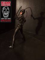 Catwoman (DC Universe) Custom Action Figure