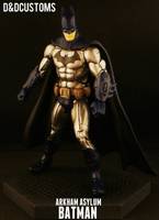 Arkham Asylum Armored Batman (Batman - Arkham City) Custom Action Figure