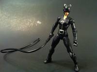 Catwoman (DC Infinite Heroes) Custom Action Figure