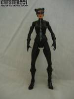 B3gw528 Catwoman , Selina Kyle V3 (Batman) Custom Action Figure