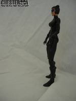 B3gw528 Catwoman , Selina Kyle V3 (Batman) Custom Action Figure