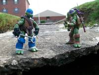 Venus (Teenage Mutant Ninja Turtles) Custom Action Figure