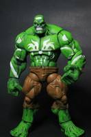 Hulk House of M (Marvel Legends) Custom Action Figure