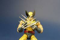 Wolverine (Marvel Legends) Custom Action Figure