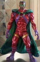 Beast Boy, Icon, & Stan Lee's Batman (Group Picture) (DC Universe) Custom Action Figure
