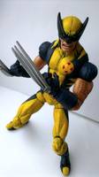 Wolverine (Utopia) (Marvel Legends) Custom Action Figure