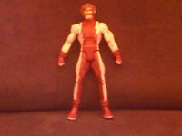 Custom Impulse DCUC Action Figure (DC Universe) Custom Action Figure