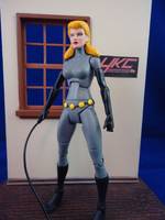 Catwoman (Batman the Animated Series Style) (DC Universe) Custom Action Figure