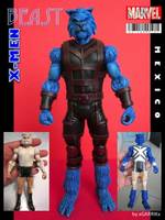 Dr. Henry "Hank" Mccoy, the BEAST. (X-Men) Custom Action Figure