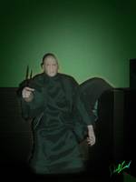 Lord Voldemort 12" (Harry Potter) Custom Action Figure