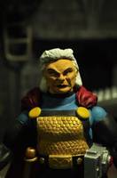 Granny Goodness (DC Universe) Custom Action Figure