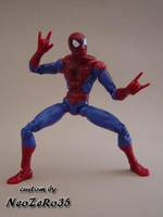 Spider-Man (Spider-Man) Custom Action Figure