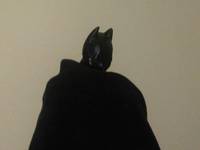Batman Begins - Batman('Cloth' Caped Crusader) (Movie Masters) Custom Action Figure
