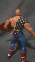 Captain America (Earth X) (Earth X) Custom Action Figure