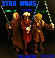 Jedi Master Knight Plo Koon (Star Wars) Custom Action Figure