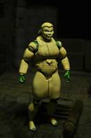 YJ Amanda Waller (DC Universe) Custom Action Figure