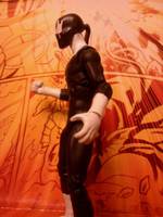 Grendel (Hunter Rose) (Dark Horse) Custom Action Figure