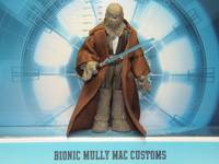 Wookie Jedi Master Bo (Star Wars) Custom Action Figure