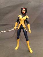 Danielle Moonstar (Marvel Legends) Custom Action Figure