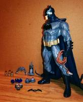 Batman (DC Direct) Custom Action Figure