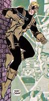 TARANTULA John Law All-Star Squadron (DC Universe) Custom Action Figure