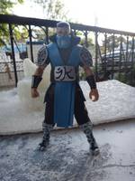 Subzero (Wrestling) Custom Action Figure