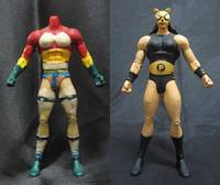 DC Pantha (DC Universe) Custom Action Figure