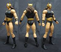 DC Pantha (DC Universe) Custom Action Figure