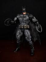 Batman (DC Universe) Custom Action Figure