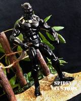 The Black Panther (Marvel Universe) Custom Action Figure