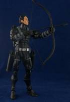 Merlyn (DC Universe) Custom Action Figure