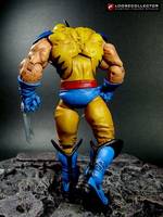 Tiger Stripe Wolverine (Marvel Legends) Custom Action Figure