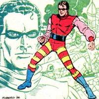 RED BEE Richard Raleigh All-Star Squadron Freedom Fighters (DC Universe) Custom Action Figure