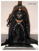 Batman Begins (Batman Begins) Custom Action Figure