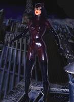 Jim Balent 90's Catwoman (DC Direct) Custom Action Figure