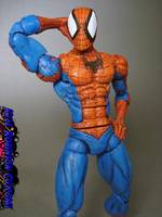 Marvel Vs. Capcom Spider-man (Marvel vs Capcom) Custom Action Figure