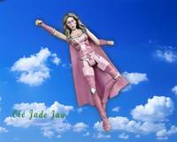The Pink Crusader (Original) Custom Action Figure