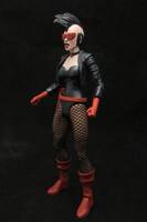Magpie (V2) (DC Universe) Custom Action Figure